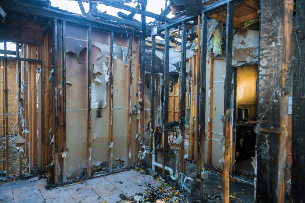 Professional Structural Rebuild technician working in Cedar Springs, MI